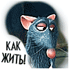 РОМ
